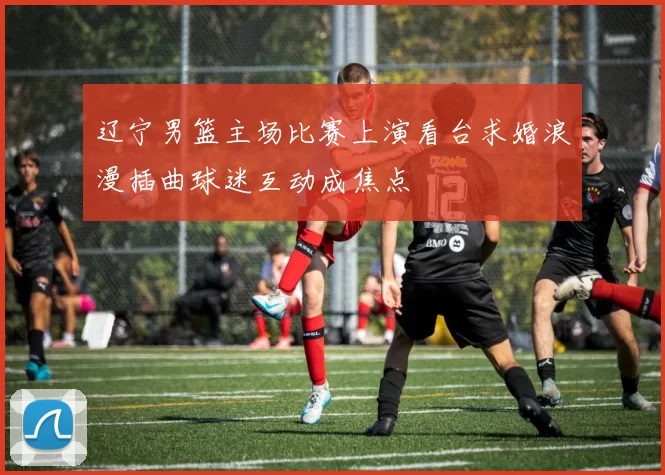 辽宁男篮主场比赛上演看台求婚浪漫插曲球迷互动成焦点