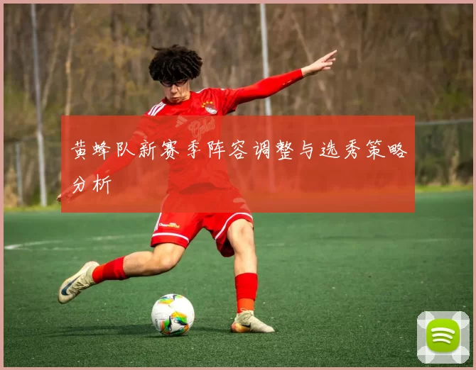 黄蜂队新赛季阵容调整与选秀策略分析