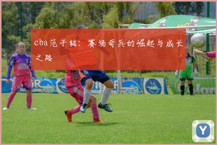 cba范子铭：赛场奇兵的崛起与成长之路