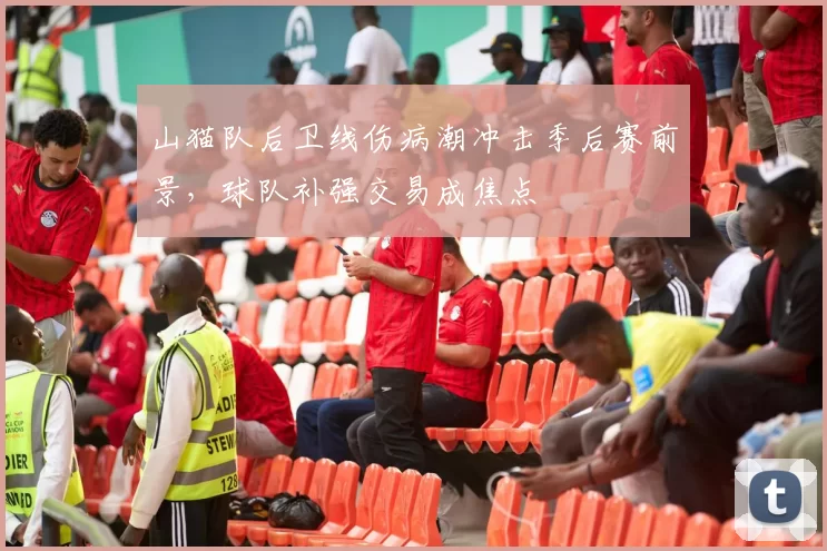 山猫队后卫线伤病潮冲击季后赛前景,球队补强交易成焦点