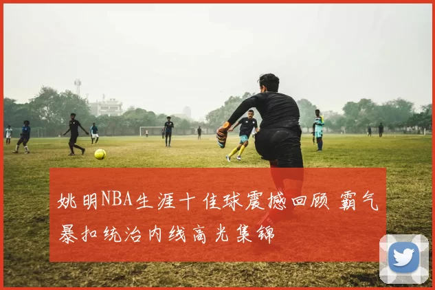 姚明NBA生涯十佳球震撼回顾 霸气暴扣统治内线高光集锦