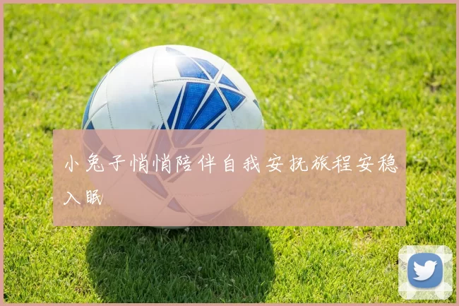 小兔子悄悄陪伴自我安抚旅程安稳入眠