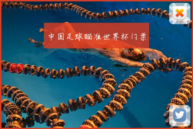 中国足球瞄准世界杯门票