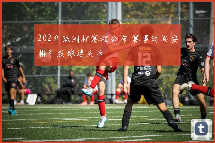 202年欧洲杯赛程公布 赛事时间安排引发球迷关注