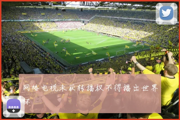网络电视未获转播权不得播出世界杯